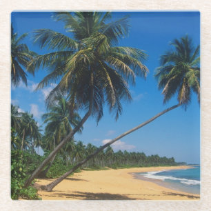 Puerto Rico, Isla Verde, palmbomen Glazen Onderzetter