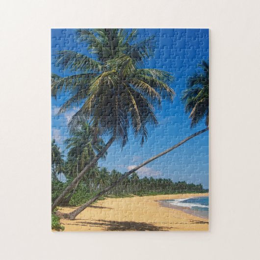 Puerto Rico, Isla Verde, palmbomen Legpuzzel (Verticaal)