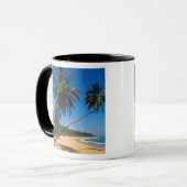 Puerto Rico, Isla Verde, palmbomen. Mok (Voorkant links)