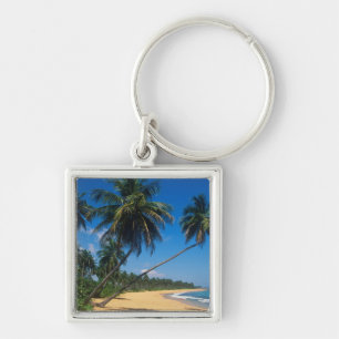 Puerto Rico, Isla Verde, palmbomen. Sleutelhanger