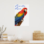 Puerto Rico Scarlet Macaw Poster (Keuken)