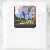  Puerto Rico Square Stickers (Tas)