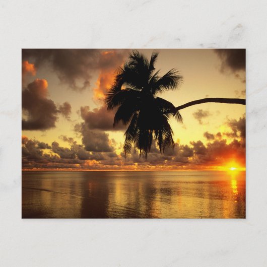 Puerto Vallarta Briefkaart (Voorkant)