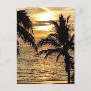 Puerto Vallarta Golden Summer Sunset Briefkaart