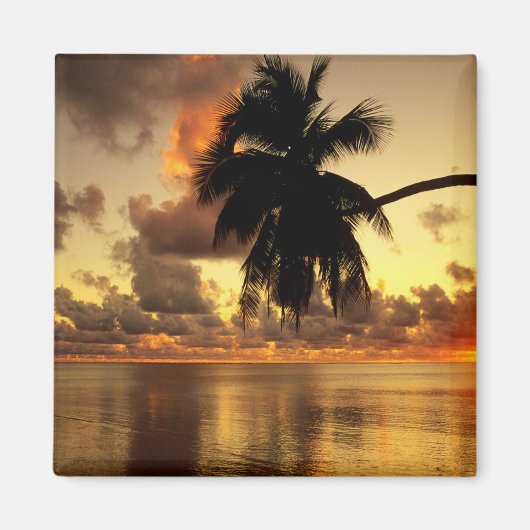 Puerto Vallarta Magneet (Voorkant)