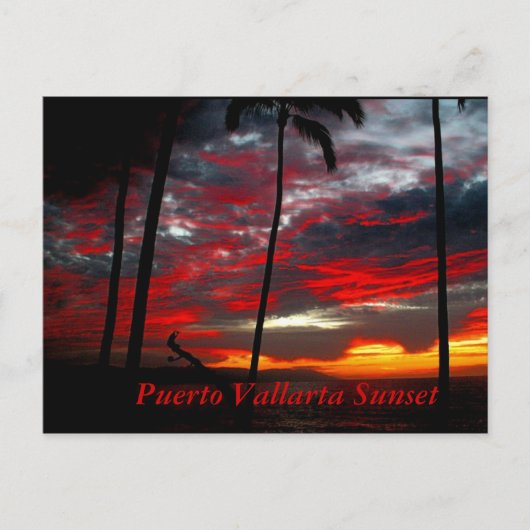 Puerto Vallarta, Mexico Briefkaart (Voorkant)