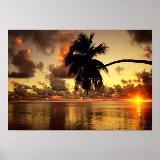 Puerto Vallarta Poster (Voorkant)