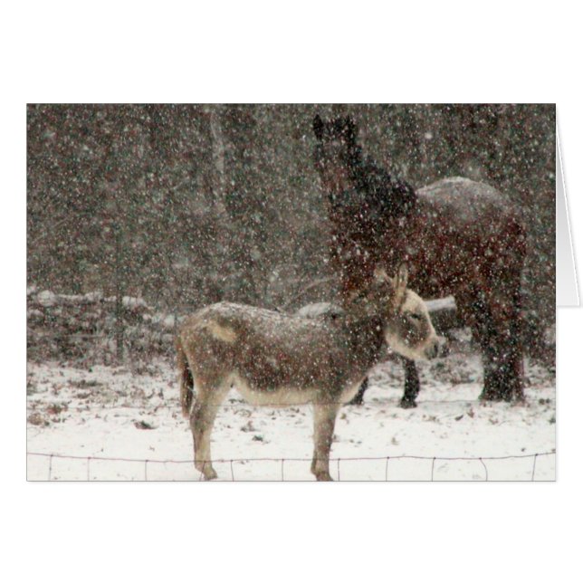 Puff & Twist (Voorkant Horizontaal)