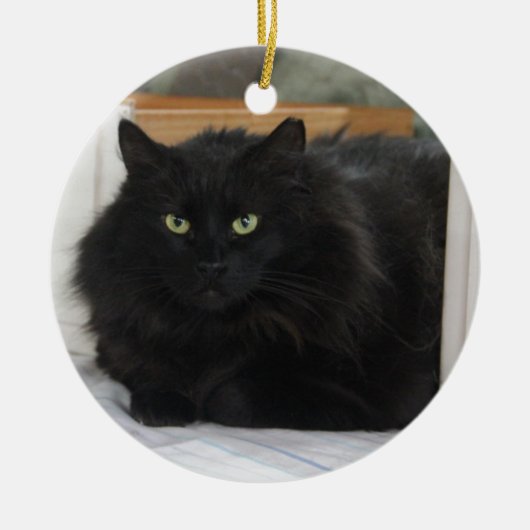 Puffball Keramisch Ornament (Voorkant)