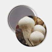 Puffball-paddenstoel Magnet Magneet (Voorkant / Achterkant)