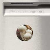 Puffball-paddenstoel Magnet Magneet (Insitu (Vaatwasser))