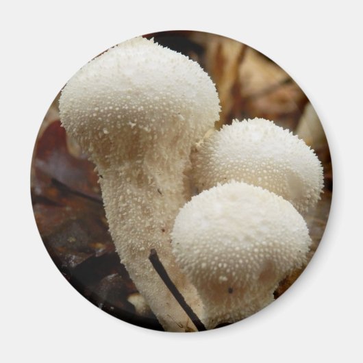 Puffball-paddenstoel Magnet Magneet (Voorkant)