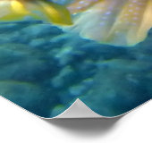 Puffer fish Arothron Hispidus Poster (Hoek)