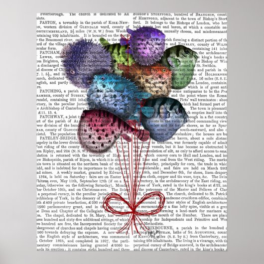 Puffer Fish-ballonnen Poster (Voorkant)
