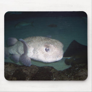 Puffer fish mousepad muismat