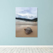 Puffer vis op het strand bij Phuket fotografie Canvas Afdruk (Insitu (Houten vloer))