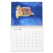 Puffervis Kalender (Jan 2027)