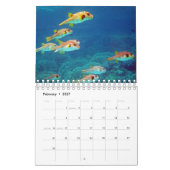 Puffervis Kalender (Feb 2027)