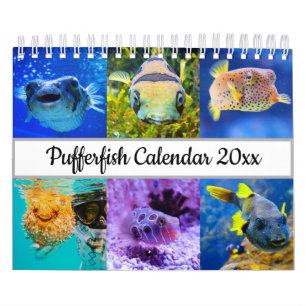 Puffervis Kalender