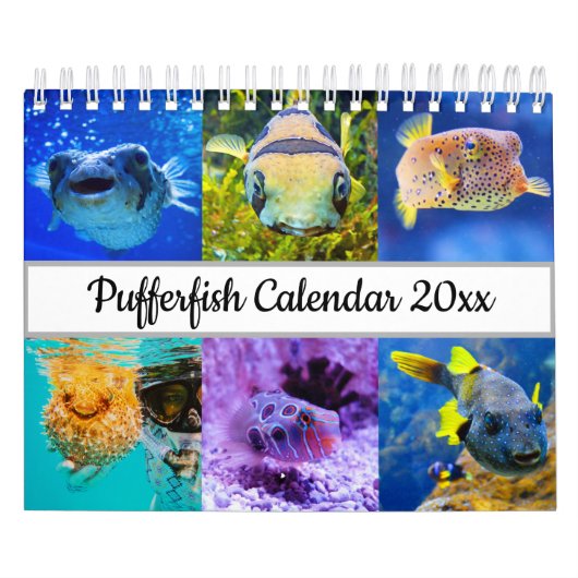 Puffervis Kalender (Hoes)