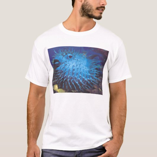 Puffervis T-shirt (Voorkant)