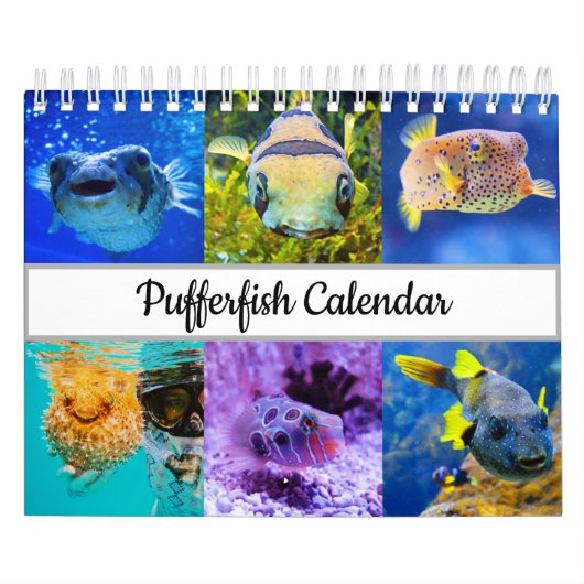 Pufferviskalender Kalender (Hoes)