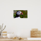 Puffin-afbeelding voor Poster (Keuken)