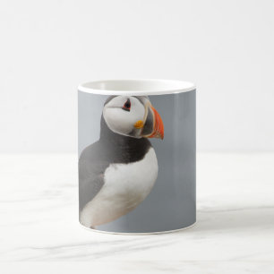Puffin Bird Antarctic Natuur Koffiemok