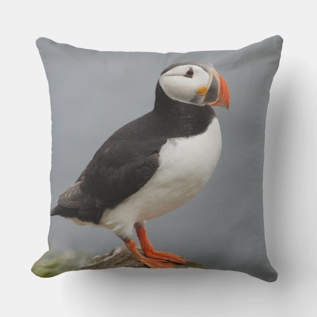 Puffin Bird Antarctic Natuur Kussen (Voorkant)