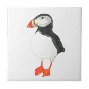 Puffin Bird Wildlife Waterverf Kleurrijk Tegeltje