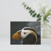 Puffin Briefkaart (Staand voorkant)