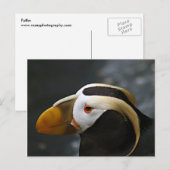 Puffin Briefkaart (Voorkant / Achterkant)