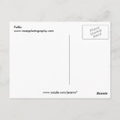 Puffin Briefkaart (Achterkant)