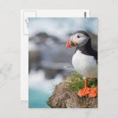 Puffin Briefkaart (Voorkant / Achterkant)