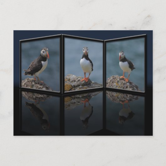 Puffin-Briefkaart Briefkaart (Voorkant)
