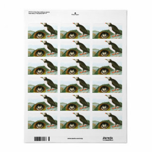 Puffin door John James Audubon Etiket