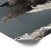 Puffin Duo Poster (Hoek)