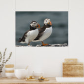 Puffin Duo Poster (Keuken)