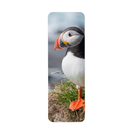 Puffin Etiket (Voorkant)