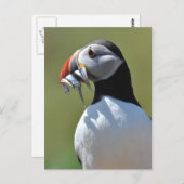 Puffin Fisherman Briefkaart (Voorkant / Achterkant)