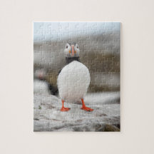 Puffin Foto: 8 x 10 inch Puzzle met Gift Box