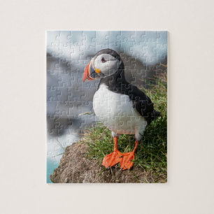 Puffin Fratercula arctica, Látrabjarg IJsland Legpuzzel