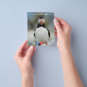 puffin geweldige makelaarsmakelaar marketing postc flyer (Hand)
