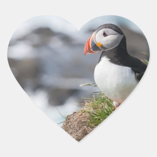Puffin Hart Sticker (Voorkant)