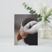 Puffin Horned 9028 Briefkaart (Staand voorkant)