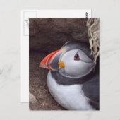 Puffin in a Burrow Briefkaart (Voorkant / Achterkant)