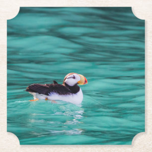 Puffin in Resurrection Bay, Alaska Kartonnen Onderzetters