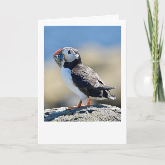 Puffin Kaart (Voorkant)