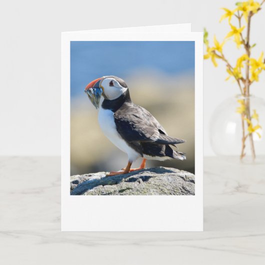 Puffin Kaart (Gele Bloem)