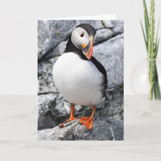 Puffin Kaart (Voorkant)